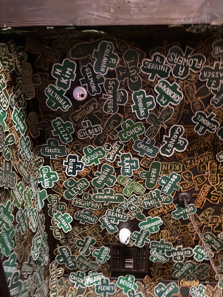 Two cameras installed on a decorative pub ceiling